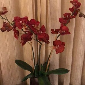 Meet your Posher, Joy